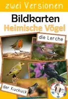 Vorschau - Poster - Heimische Vögel Bildkarten in zwei Versionen - Deckblatt