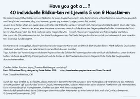 Vorschau - Arbeitsblätter - "Have you got a" Haustiere Pets 40 Bildkarten und Freiarbeit - Seite 3
