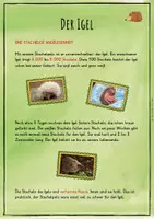 Vorschau - Unterrichtsreihen - Der Igel - Lernwerkstatt - Seite 1