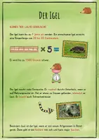 Vorschau - Unterrichtsreihen - Der Igel - Lernwerkstatt - Seite 2