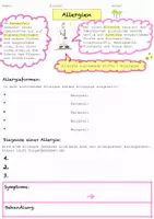 Vorschau - Arbeitsblätter - Arbeitsblatt Allergien Immunsystem 8.Klasse RS - Deckblatt