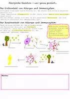 Vorschau - Arbeitsblätter - Arbeitsblatt Allergien Immunsystem 8.Klasse RS - Seite 1
