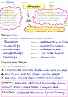 Vorschau - Arbeitsblätter - Arbeitsblatt Allergien Immunsystem 8.Klasse RS - Seite 3