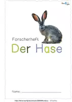 Vorschau - Arbeitsblätter - Hase oder Kaninchen - Forscherheft und Puzzles - Seite 1