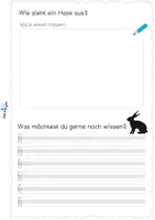 Vorschau - Arbeitsblätter - Hase oder Kaninchen - Forscherheft und Puzzles - Seite 3