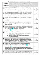 Vorschau - Unterrichtsreihen - LEHRERAUSGABE Einmaleins-Geschichten in Vereinfachter Ausgangsschrift als Schreibschrift-Texttraining VA - Seite 3