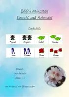 Vorschau - Fördermaterial/Inklusion - Bildkarten Einzahl Mehrzahl - Druckschrift - Fibel - Deckblatt