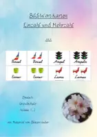 Vorschau - Präsentationen/Tafelbilder - Bildkarten Substantive Einzahl Mehrzahl - SAS - Fibel - Deckblatt