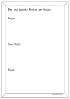 Vorschau - Arbeitsblätter - Birdman- Skizzenbuch - Seite 2