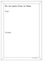 Vorschau - Arbeitsblätter - Birdman- Skizzenbuch - Seite 3