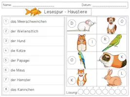 Vorschau - Arbeitsblätter - Mini Lesespur HAUSTIERE - 3fach differenziert - Seite 2