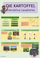 Vorschau - Interaktives Material - Die Kartoffel: Interaktive Lesekartei - Deckblatt