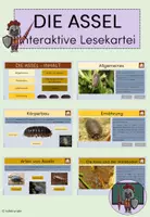 Vorschau - Interaktives Material - Die Assel: Interaktive Lesekartei - Deckblatt