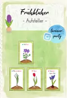 Vorschau - Präsentationen/Tafelbilder - Frühblüher: Aufsteller (Tolsby) - Deckblatt
