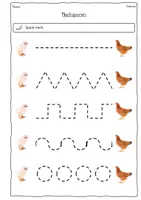 Vorschau - Arbeitsblätter - Das Huhn: 20 Arbeitsblätter mit Fotos Deutsch Klasse 1 mit Lösungen - Seite 1