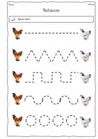 Vorschau - Arbeitsblätter - Das Huhn: 20 Arbeitsblätter mit Fotos Deutsch Klasse 1 mit Lösungen - Seite 3