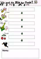Vorschau - Arbeitsblätter - Entwicklung Blüte Frucht_RS 6.Klasse_Arbeitsblatt_Fließdiagramm - Deckblatt