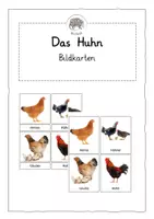 Vorschau - Bildkarten - Das Huhn: Foto-Bildkarten - Deckblatt