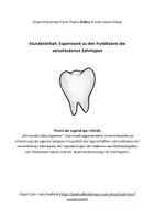 Vorschau - Stundenentwürfe - Unterrichtsentwurf Zähne Sachunterricht Klasse 1 - Seite 2