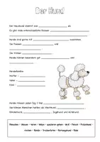 Vorschau - Arbeitsblätter - Expertenheft Haustiere (Freiarbeitsmaterial) #silvesterknaller - Seite 1