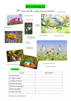 Vorschau - Arbeitsblätter - Arbeitsblätter -Frühling/ Ostern- Daz/ DaF A1 - Seite 1