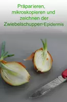 Vorschau - Arbeitsblätter - Präparieren, mikroskopieren und zeichnen derZwiebelschuppen-Epidermis - Deckblatt