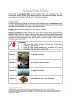 Vorschau - Arbeitsblätter - Großes Materialpaket zu Ernsts Ballade "Nis Randers" - Seite 1