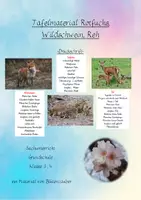 Vorschau - Stationenlernen - Tafelmaterial Waldtiere (Rotfuchs, Reh, Wildschwein) - Druckschrift - Deckblatt