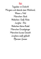 Vorschau - Stationenlernen - Tafelmaterial Waldtiere (Rotfuchs, Reh, Wildschwein) - Druckschrift - Seite 2