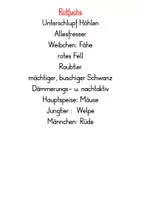 Vorschau - Stationenlernen - Tafelmaterial Waldtiere (Rotfuchs, Reh, Wildschwein) - Druckschrift - Seite 3