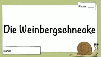 Vorschau - Arbeitsblätter - Flipbook Schnecke ohne Bilder - Seite 1