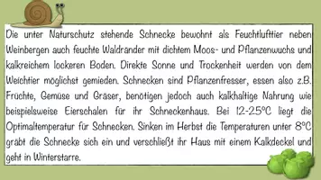 Vorschau - Arbeitsblätter - Flipbook Schnecke ohne Bilder - Seite 2