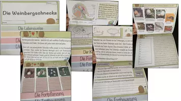 Vorschau - Arbeitsblätter - Flipbook Schnecke ohne Bilder - Deckblatt