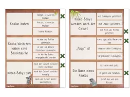Vorschau - Stationenlernen - Klammerkarten Koala - Seite 2