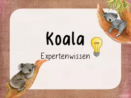 Vorschau - Poster - Kartei Expertenwissen Koala - Seite 1