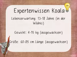 Vorschau - Poster - Kartei Expertenwissen Koala - Seite 2