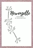 Vorschau - Präsentationen/Tafelbilder - Tafelmodelle Nervenzelle und Synapse - Deckblatt