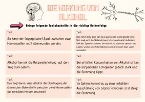 Vorschau - Arbeitsblätter - Neurobiologie und Verhaltensbiologie - Seite 3