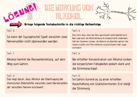 Vorschau - Arbeitsblätter - Wirkung von Alkohol - Einfluss von Drogen auf das Nervensystem / Reiz-Reaktion - Seite 3