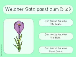 Vorschau - Spiele - interaktives Lesequiz Sätze FRÜHBLÜHER interaktives Pdf - Seite 2