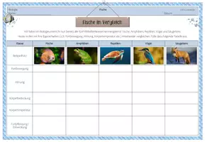 Vorschau - Arbeitsblätter - Arbeitsblatt - Fische und andere Wirbeltiere im Vergleich - Deckblatt