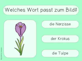 Vorschau - Präsentationen/Tafelbilder - interaktives Lesequiz Wörter FRÜHBLÜHER interaktives Pdf - Seite 2