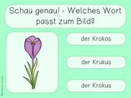 Vorschau - Spiele - Lesen interaktiv - Lies genau Wörter FRÜHBLÜHER interaktives PDF - Seite 2