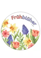 Vorschau - Bildkarten - Frühblüher Legekreis für Klasse 1/2 - Seite 2