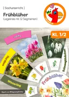 Vorschau - Bildkarten - Frühblüher Legekreis für Klasse 1/2 - Deckblatt