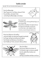 Vorschau - Arbeitsblätter - Lesen & Malen - Insekten | Lese-Mal-Arbeitsblatt Frühling und Sommer - Seite 2