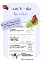 Vorschau - Arbeitsblätter - Lesen & Malen - Insekten | Lese-Mal-Arbeitsblatt Frühling und Sommer - Deckblatt