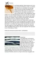 Vorschau - Stundenentwürfe - Was sind Parasiten? Texte, Aufgaben und Lösungen - Seite 3