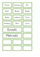 Vorschau - Arbeitsblätter - Wald - Unterscheiden von Einzahl und Mehrzahl - Seite 2