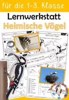 Vorschau - Arbeitsblätter - Lernwerkstatt Heimische Vögel - differenziertes Angebot für die 1. 2. und 3. Klasse - Deckblatt